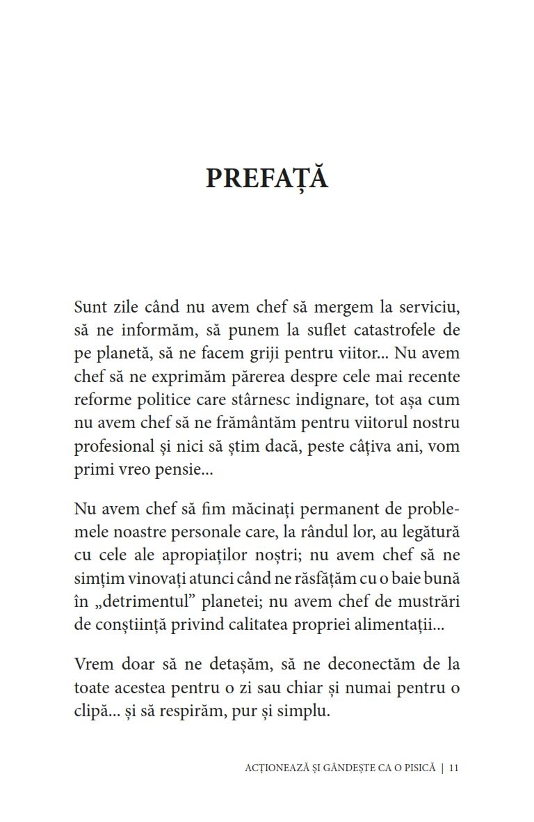 Actioneaza si gandeste ca o pisica | Stephane Garnier - 3 | YEO