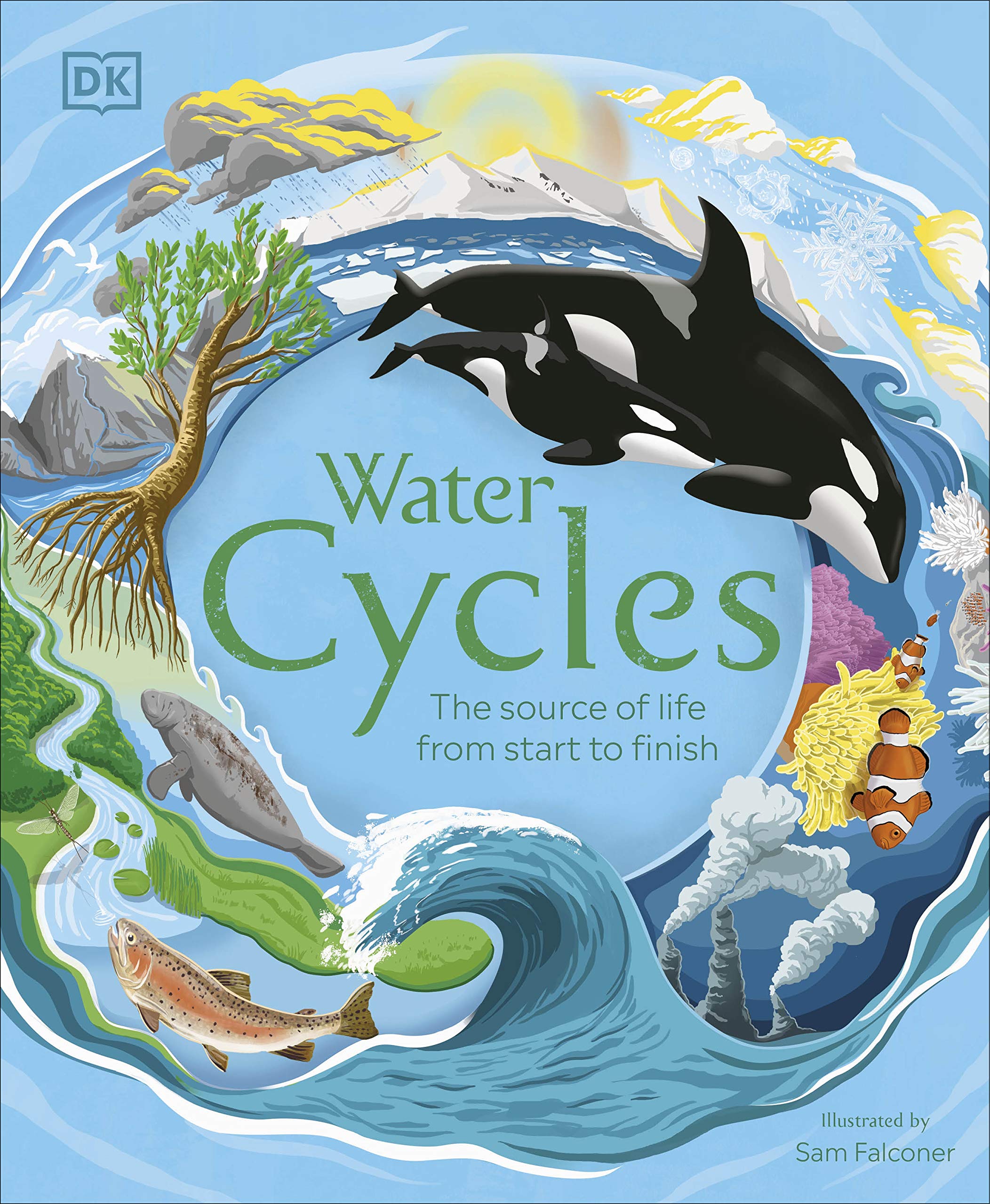 Water Cycles | DK