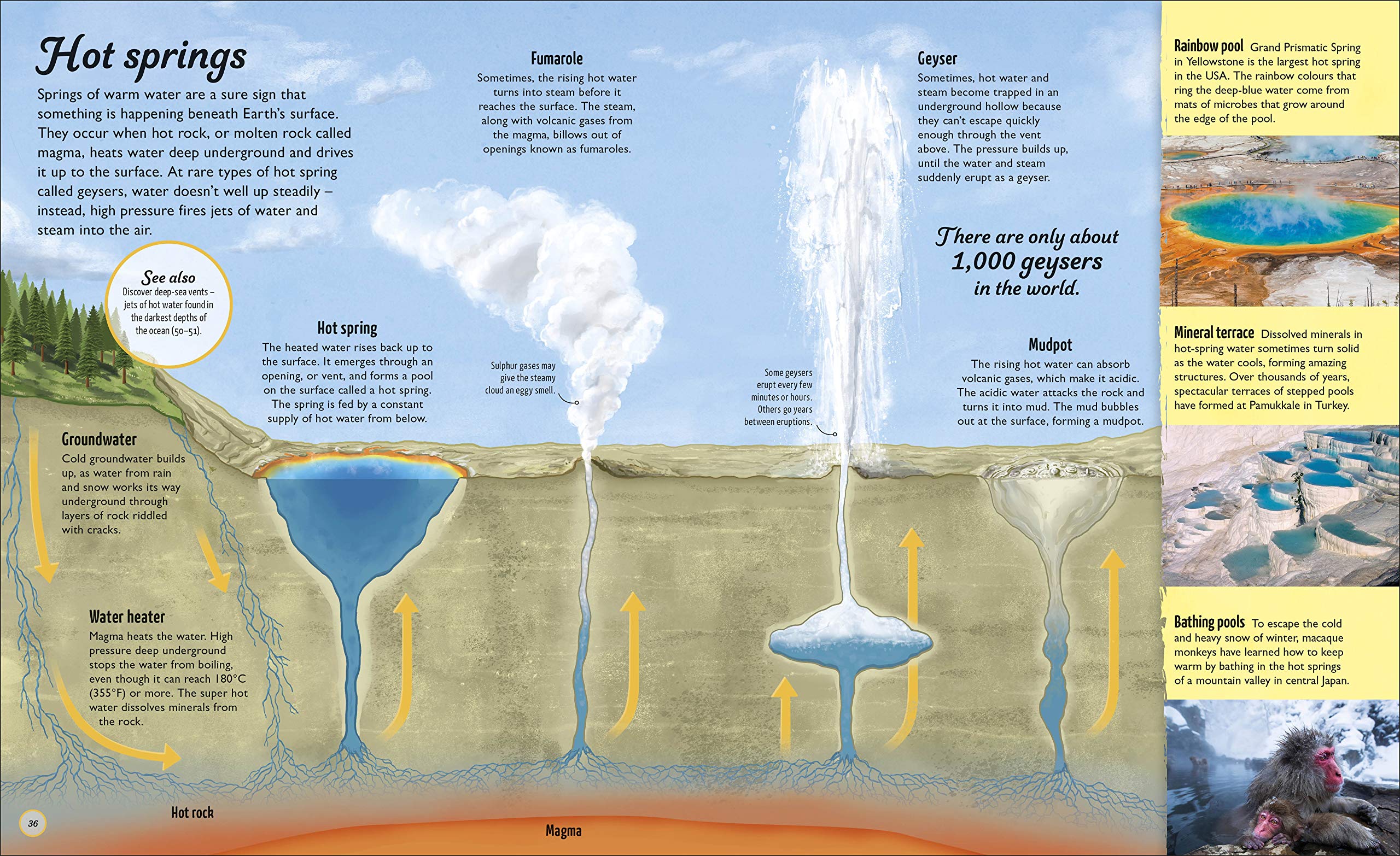 Water Cycles | DK - 2 | YEO