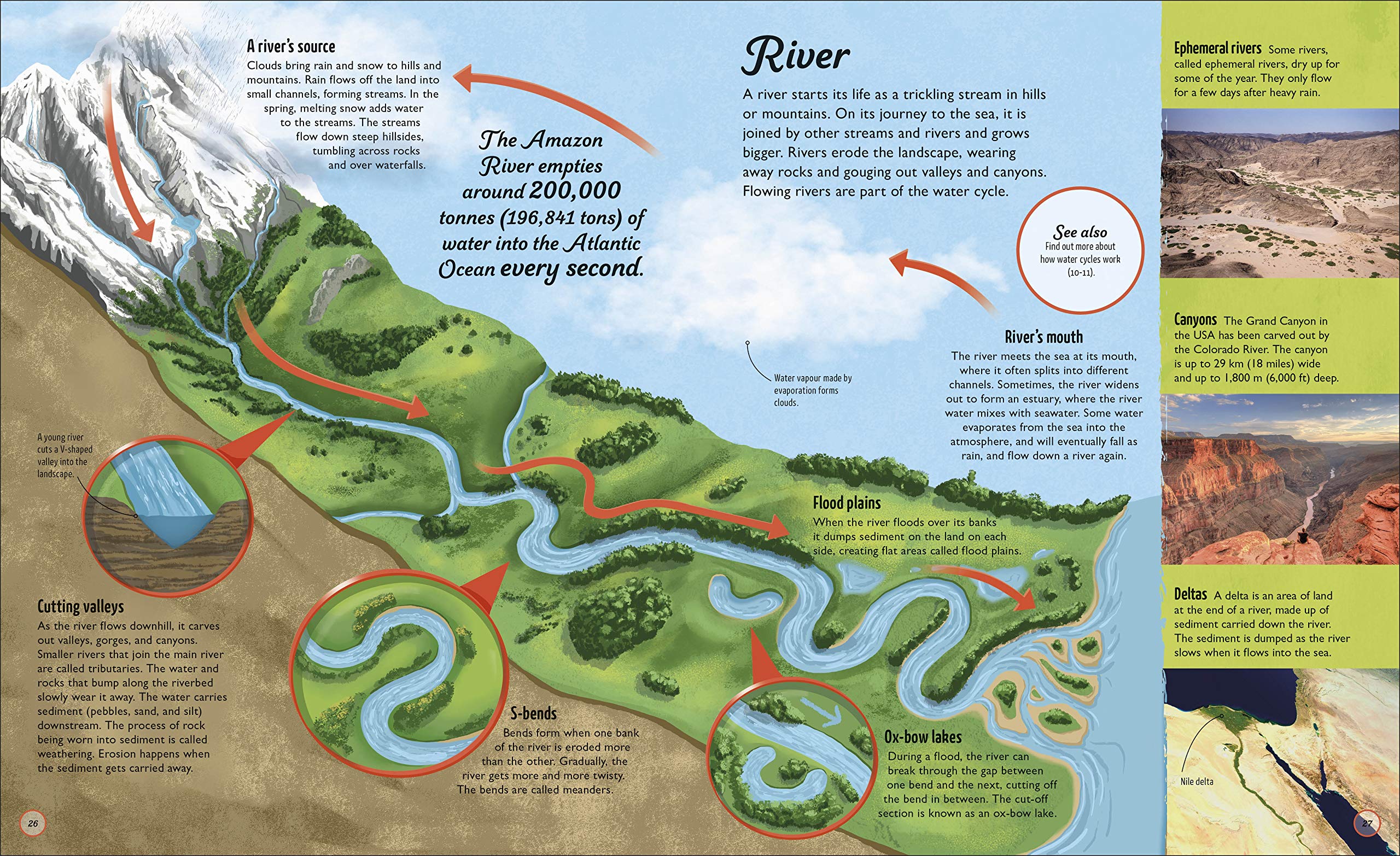 Water Cycles | DK - 5 | YEO