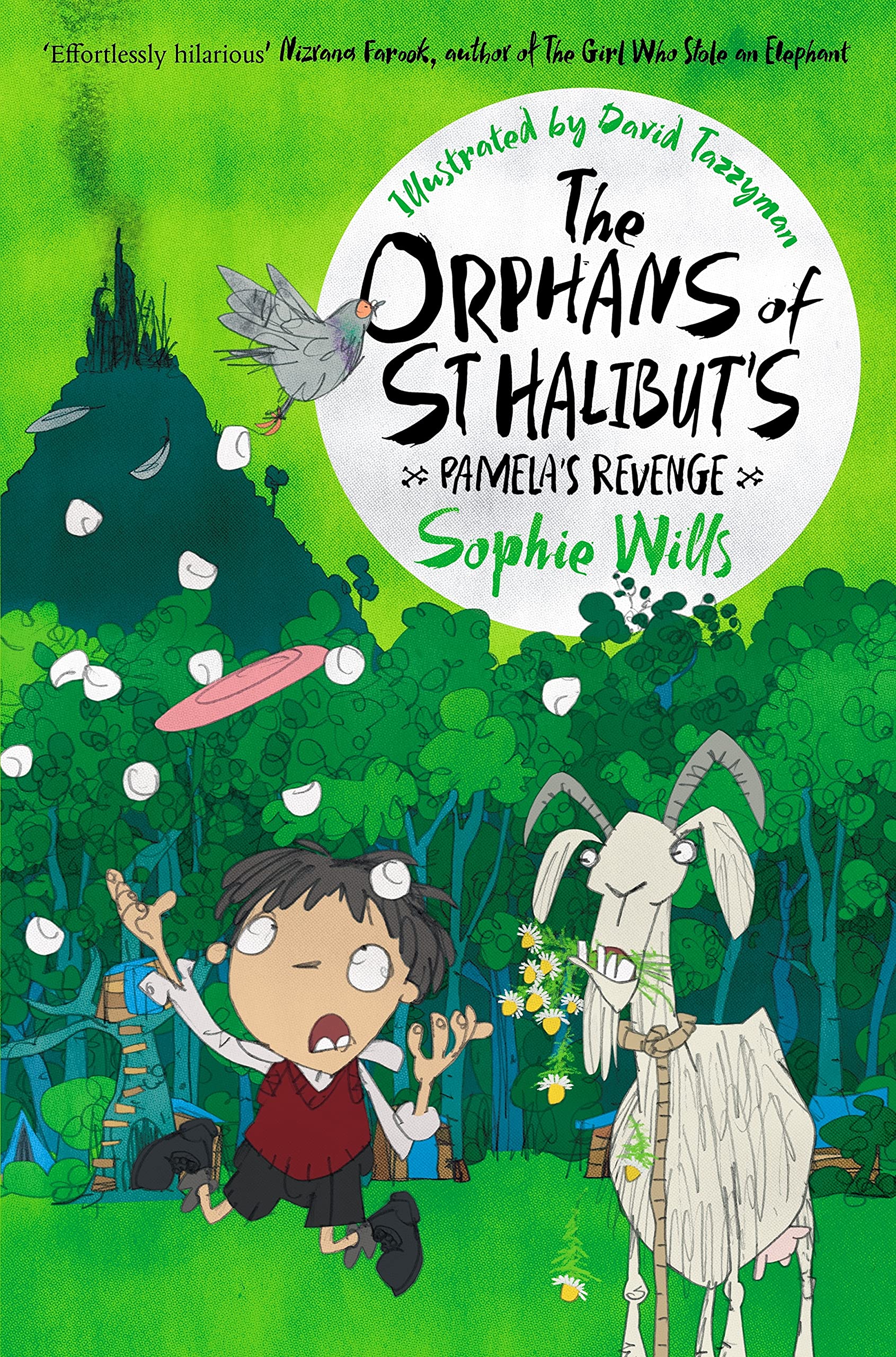 The Orphans of St Halibut\'s: Pamela\'s Revenge | Sophie Wills