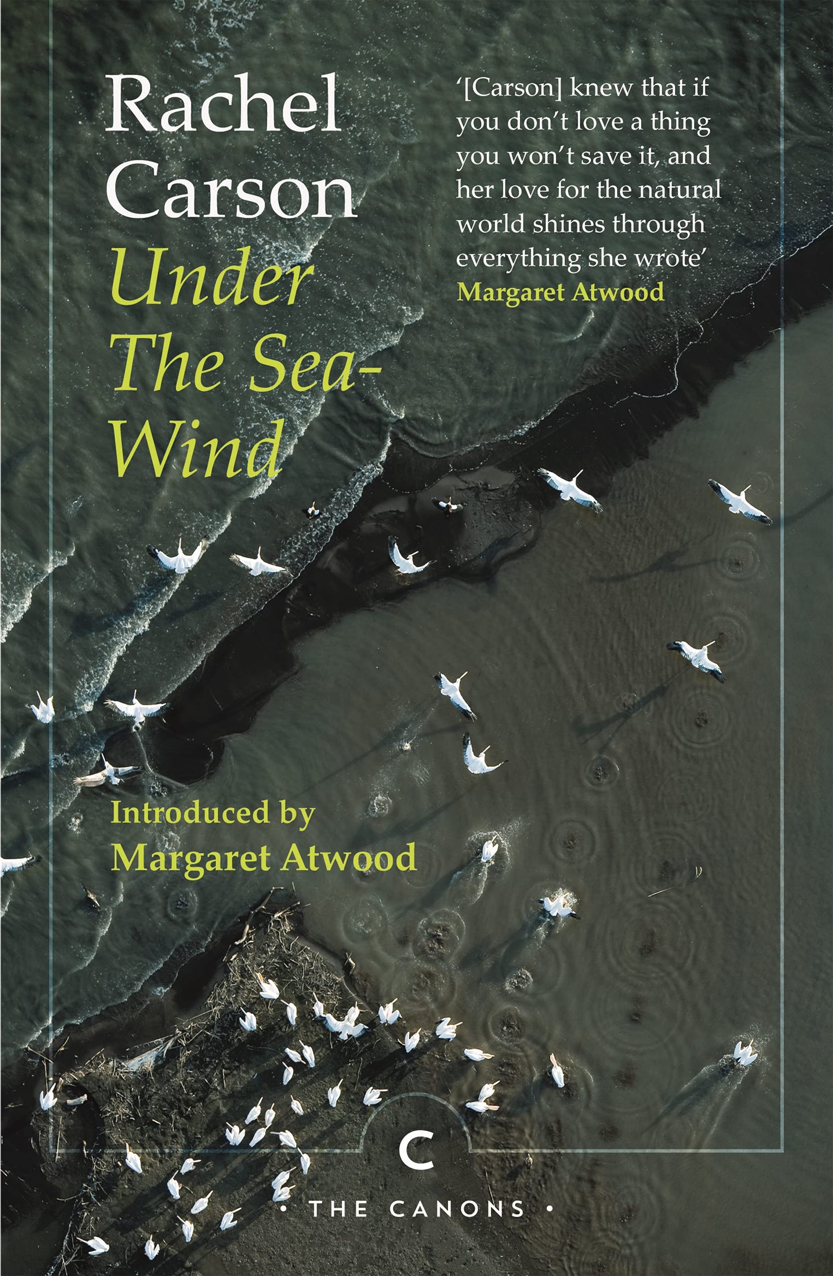 Under the Sea-Wind | Rachel Carson