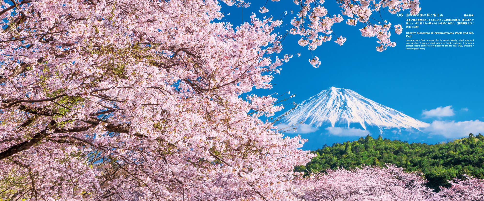 Eighty-eight views of Mt. Fuji | PIE International