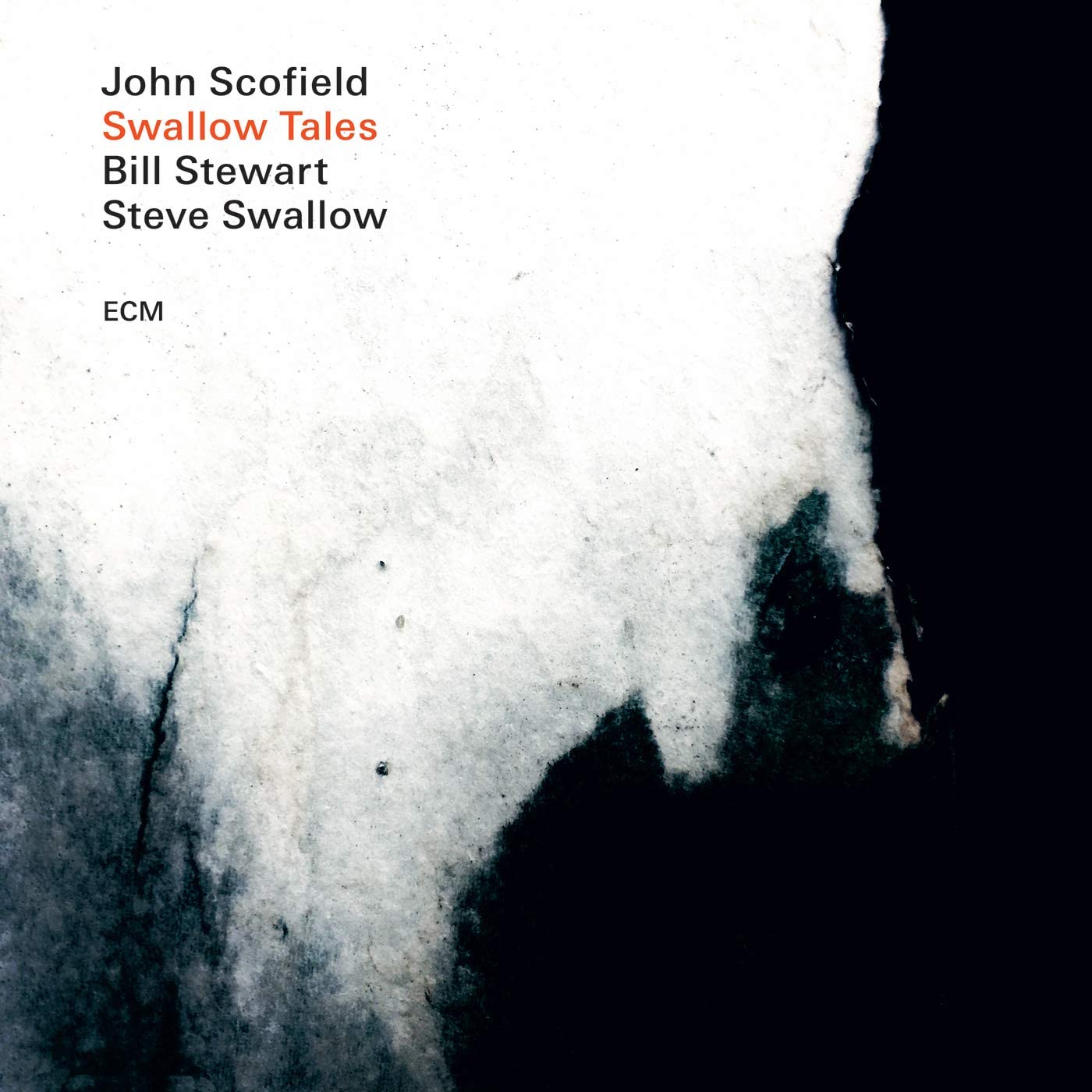 Swallow Tales - Vinyl | John Scofield