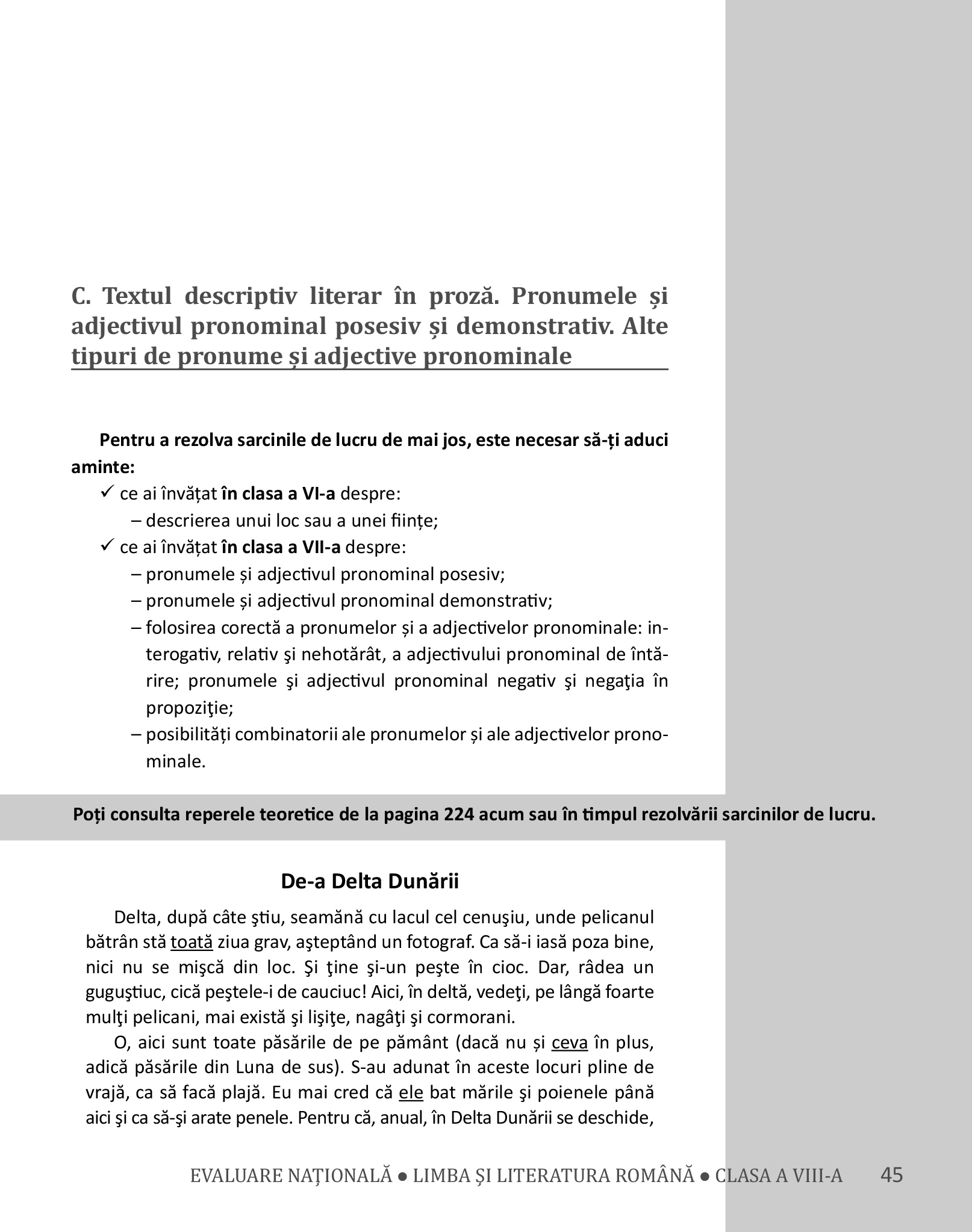 Evaluare nationala. Limba si literatura romana pentru clasa a VIII-a | Mariana Norel, Petru Bucurenciu, Mihaela Dragu