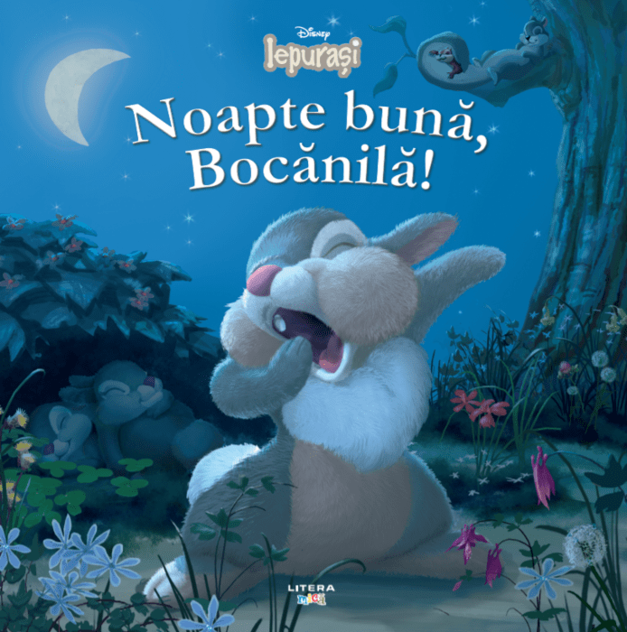 Noapte buna, Bocanila! | carturesti.ro