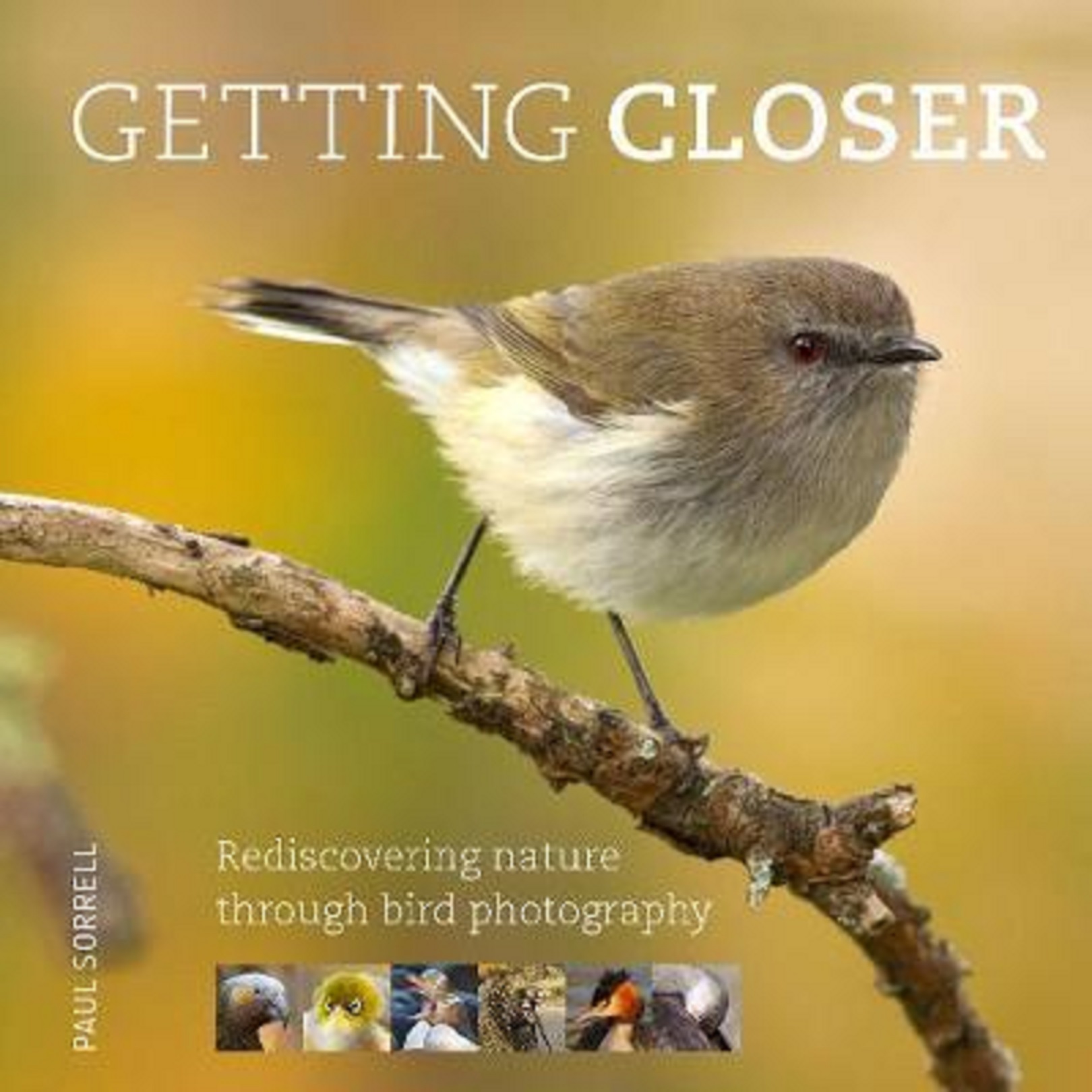 Getting Closer | Paul Sorrell