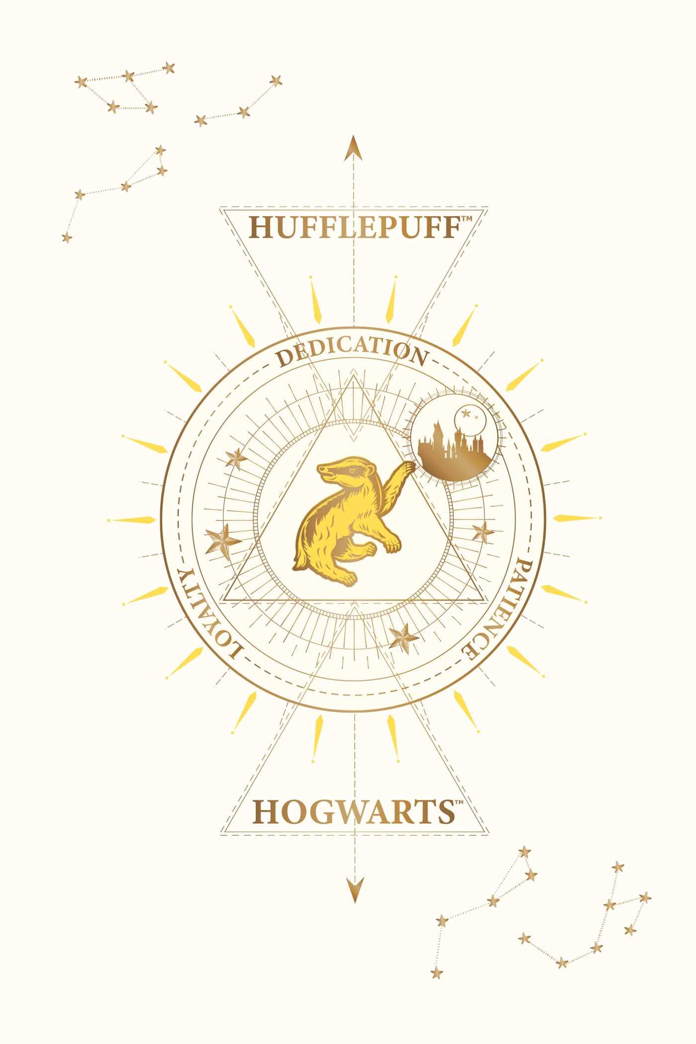 Set 20 de carti postale - Harry Potter - Hufflepuff | Insight