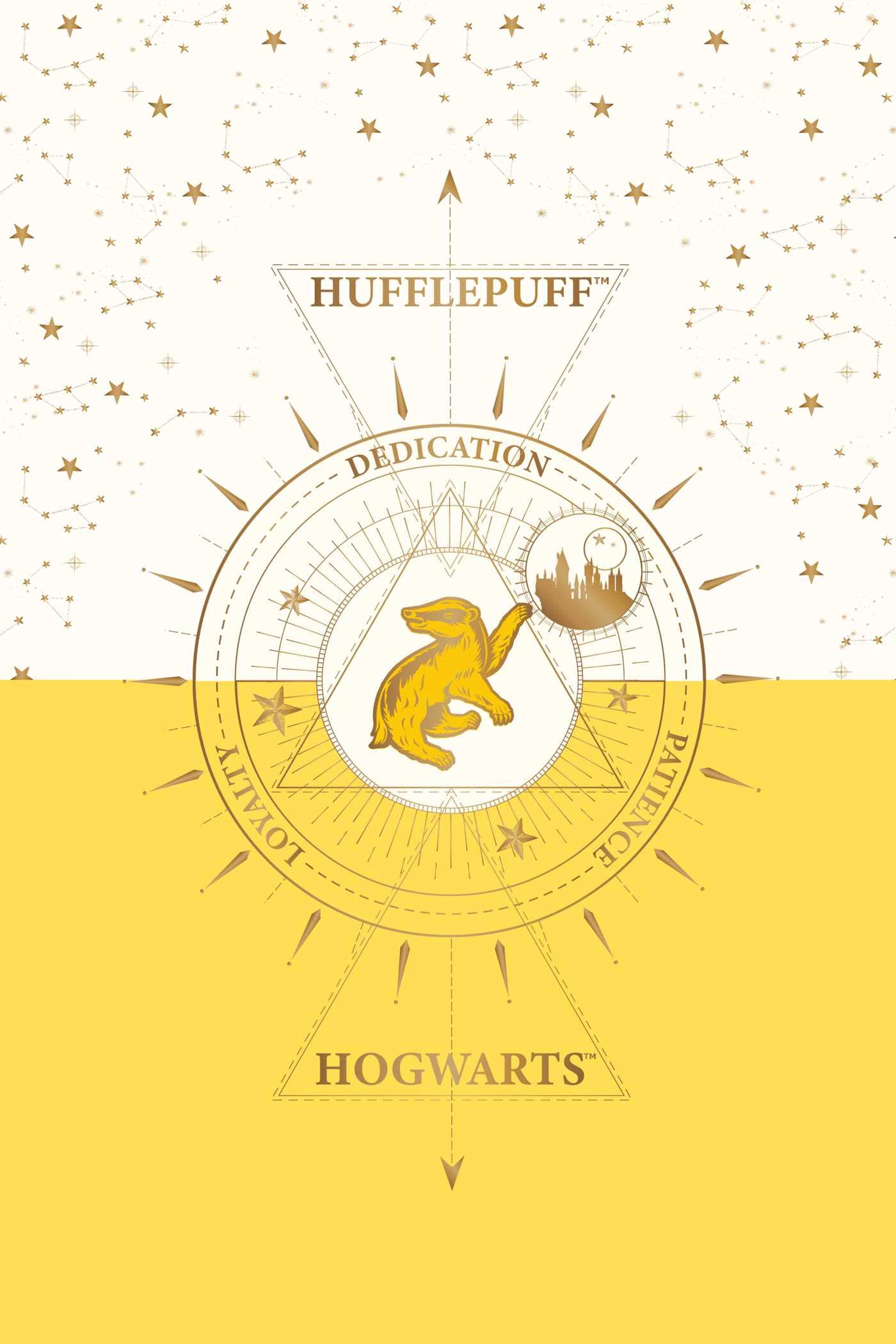 Set 20 de carti postale - Harry Potter - Hufflepuff | Insight - 4 | YEO