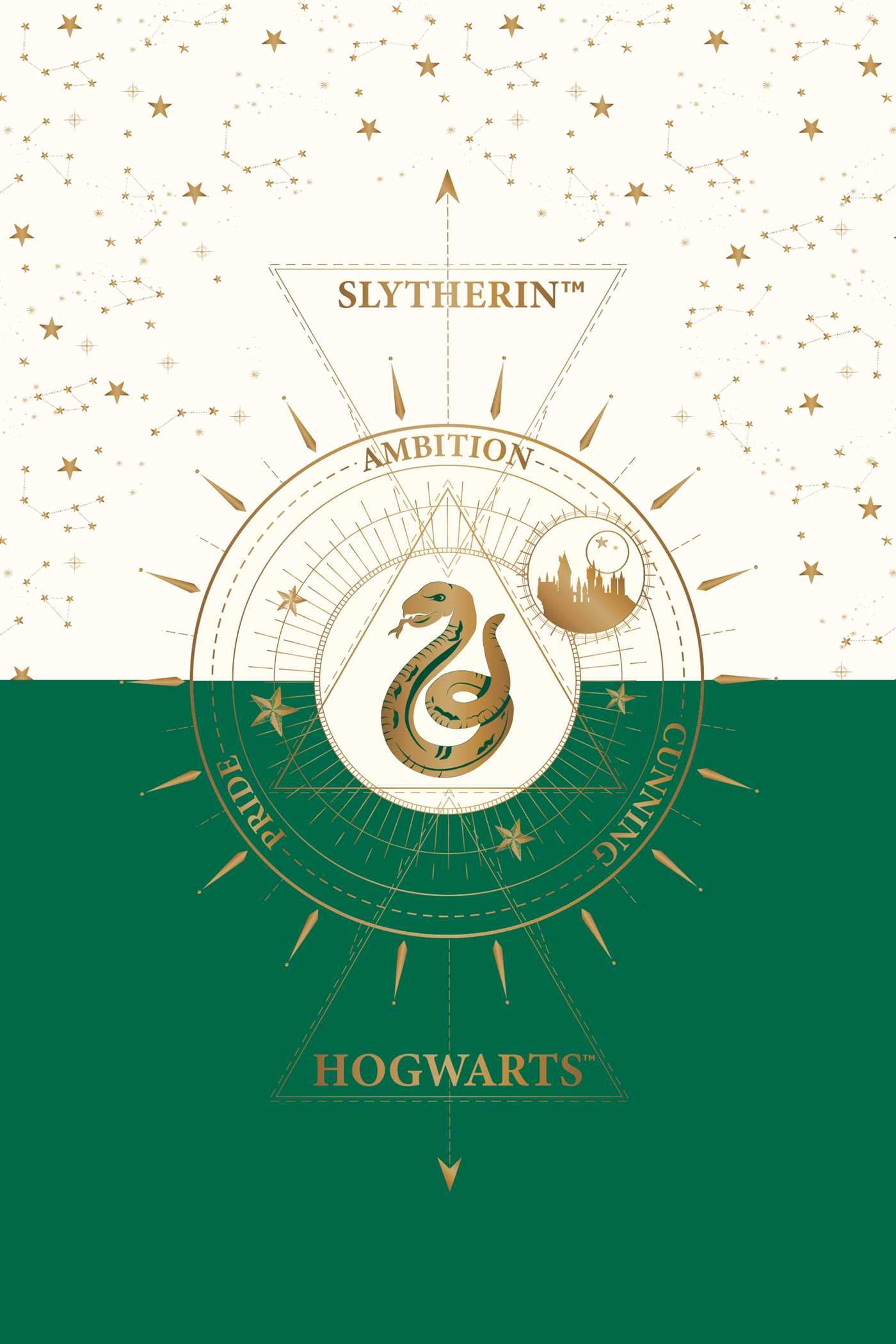 Set 20 de carti postale - Harry Potter - Slytherin | Insight - 4 | YEO