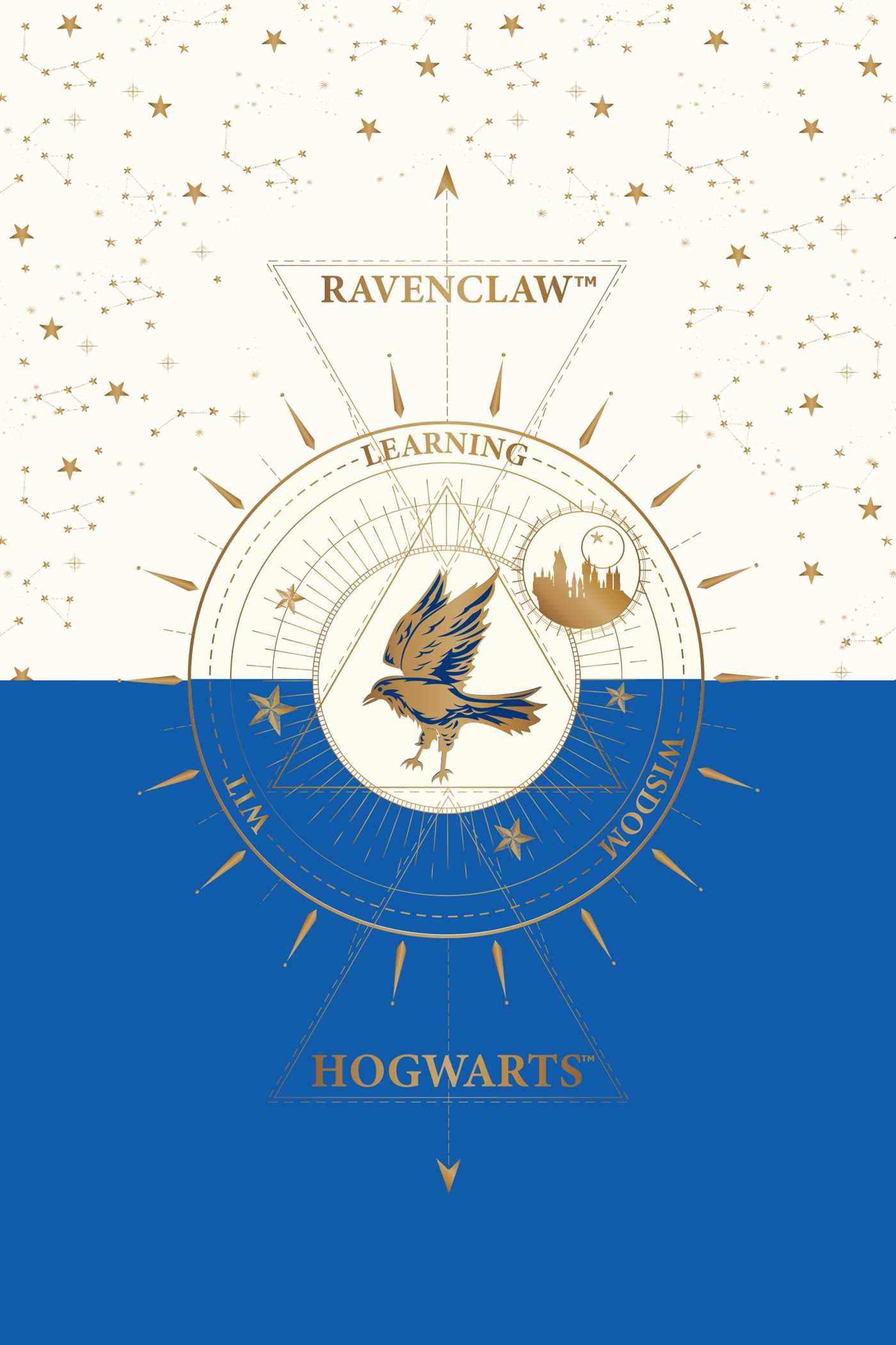 Set 20 de carti postale - Harry Potter - Ravenclaw | Insight - 4 | YEO