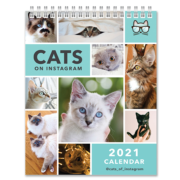 Calendar 2021 - Desk Easel - Cats on Instagram | Portico Designs