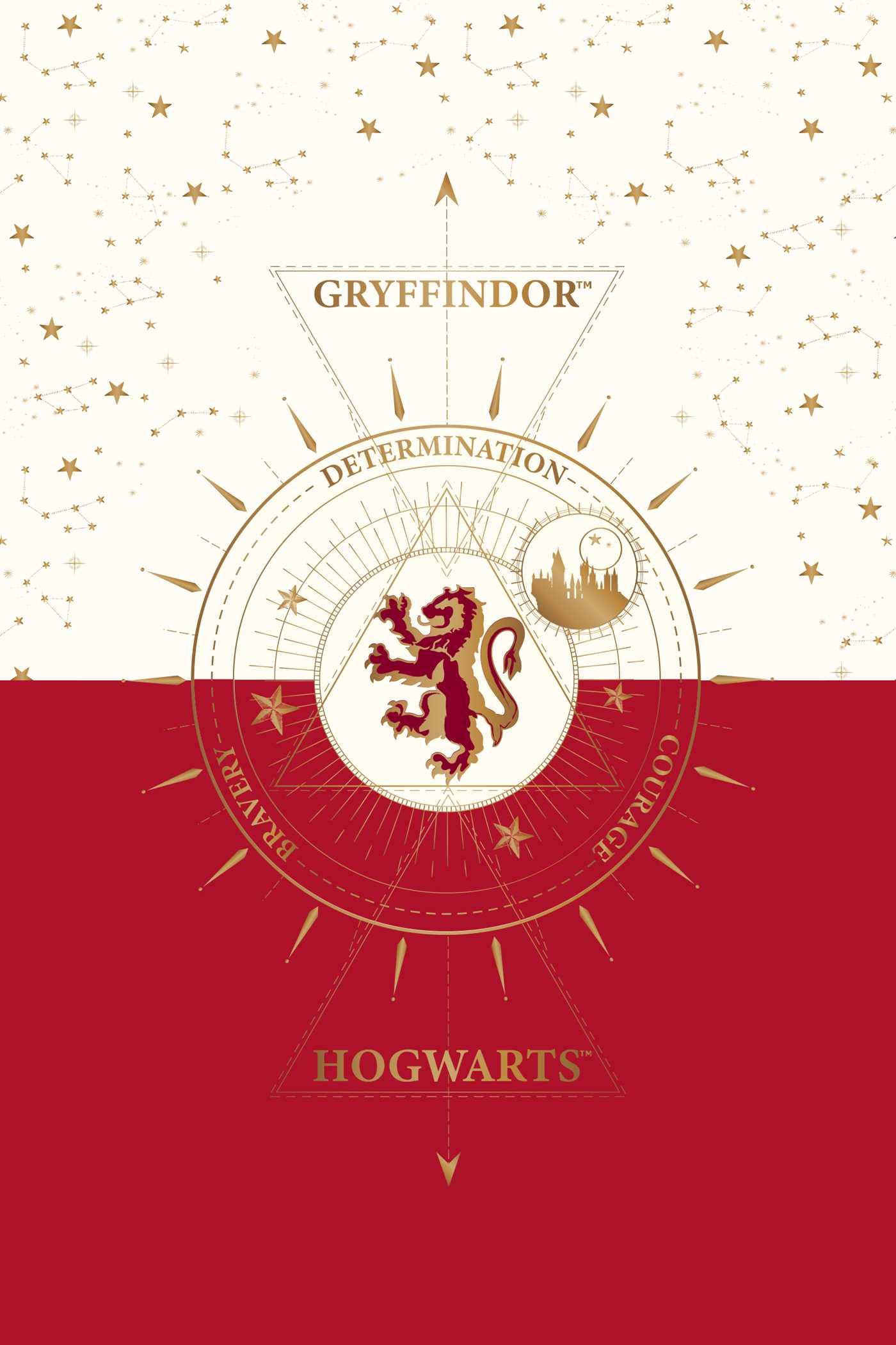 Set 20 de carti postale - Harry Potter - Gryffindor | Insight - 4 | YEO