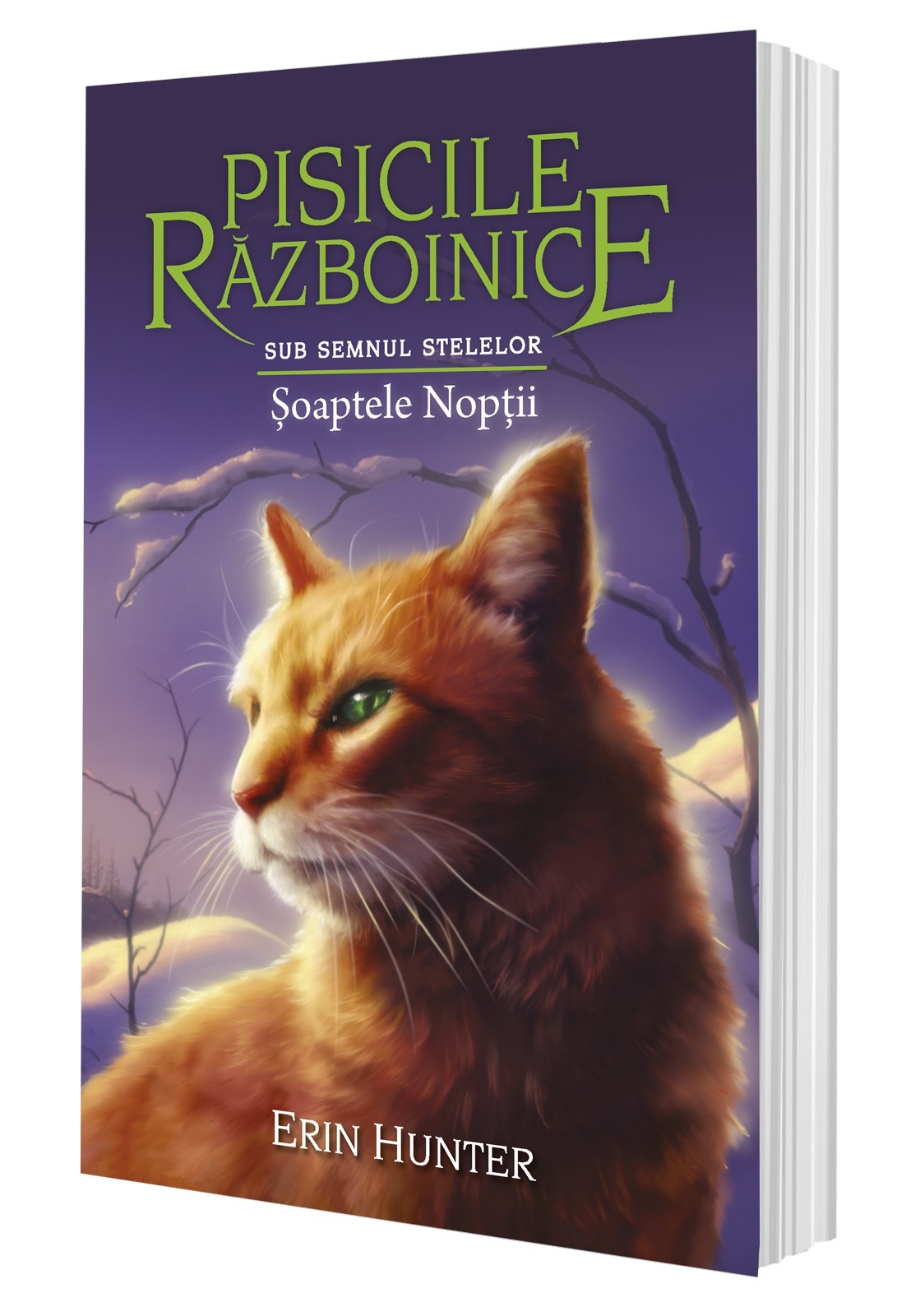 Soaptele noptii | Erin Hunter