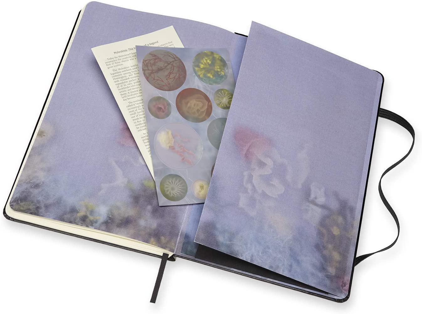 Carnet in rama - Large, Hard Cover, Ruled - Artist Sonia Alins | Moleskine - 6 | YEO