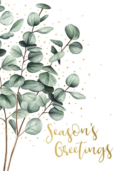 Felicitare - Plants Season\'s Greetings - Eucalyptus | The Art File