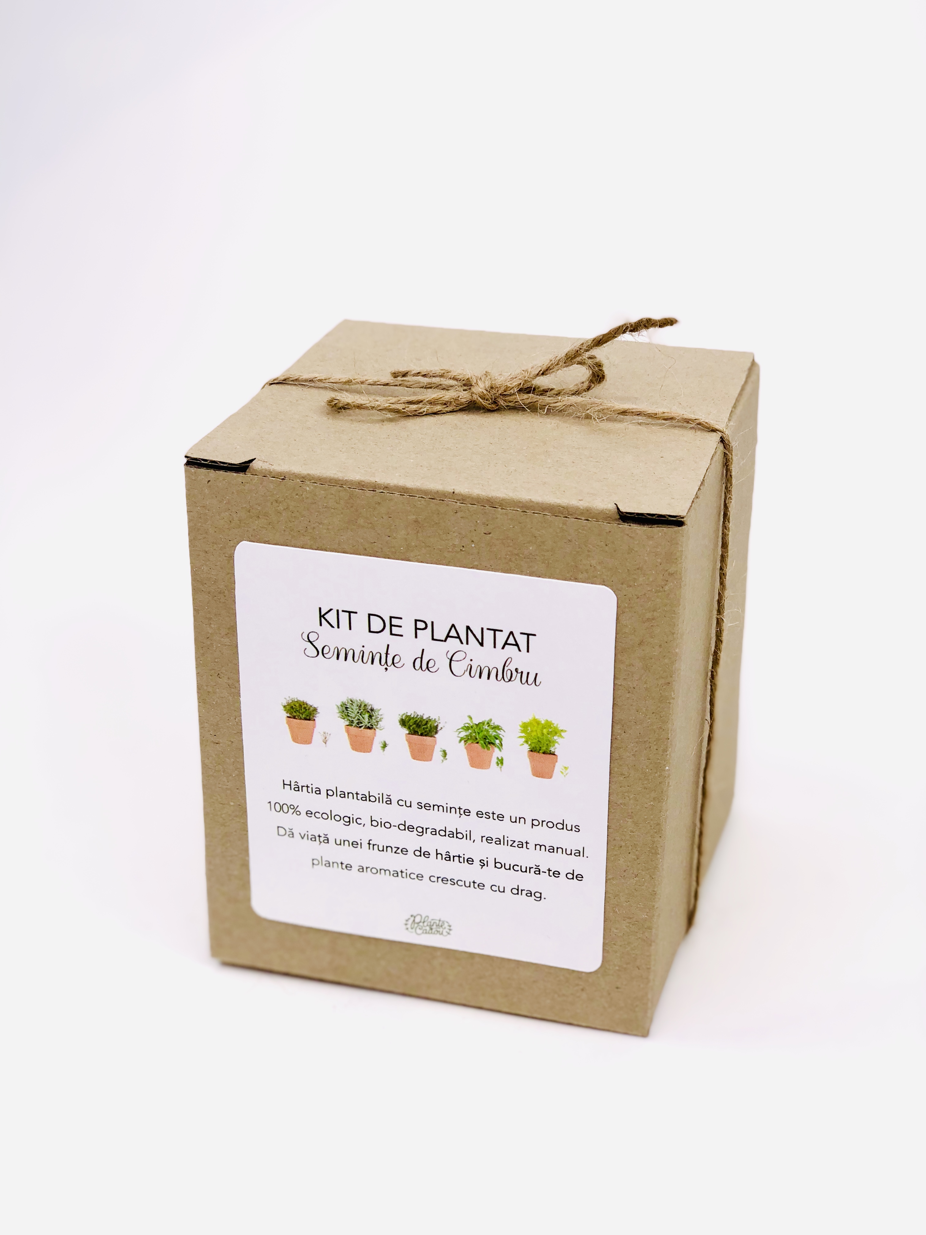 Kit de plantat hartie plantabila Cimbru | Plante Cadou - 1 | YEO