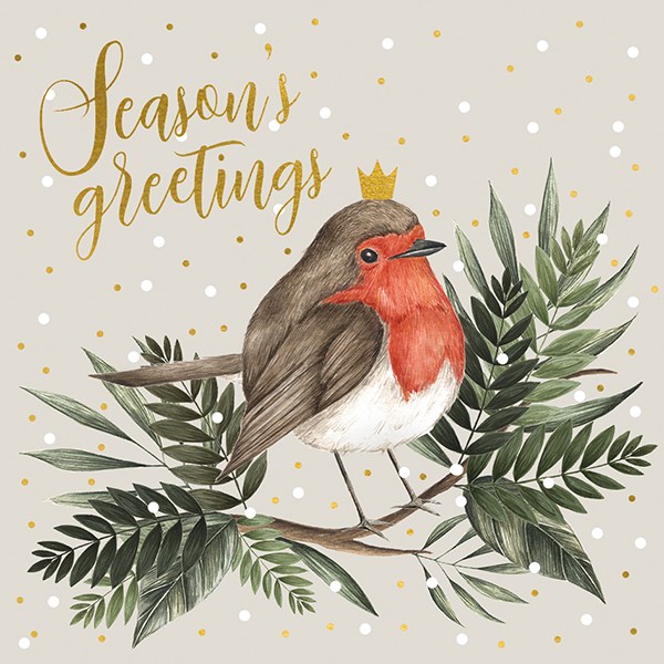 Felicitare - Season\'s Greetings Robin | The Art File