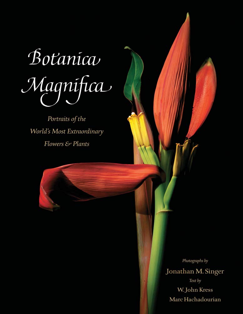 Botanica Magnifica | Jonathan Singer