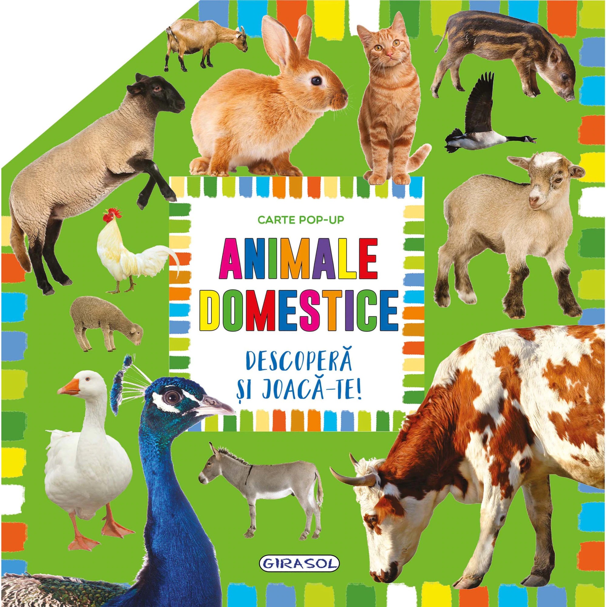 Carte pop-up - Animale domestice | 