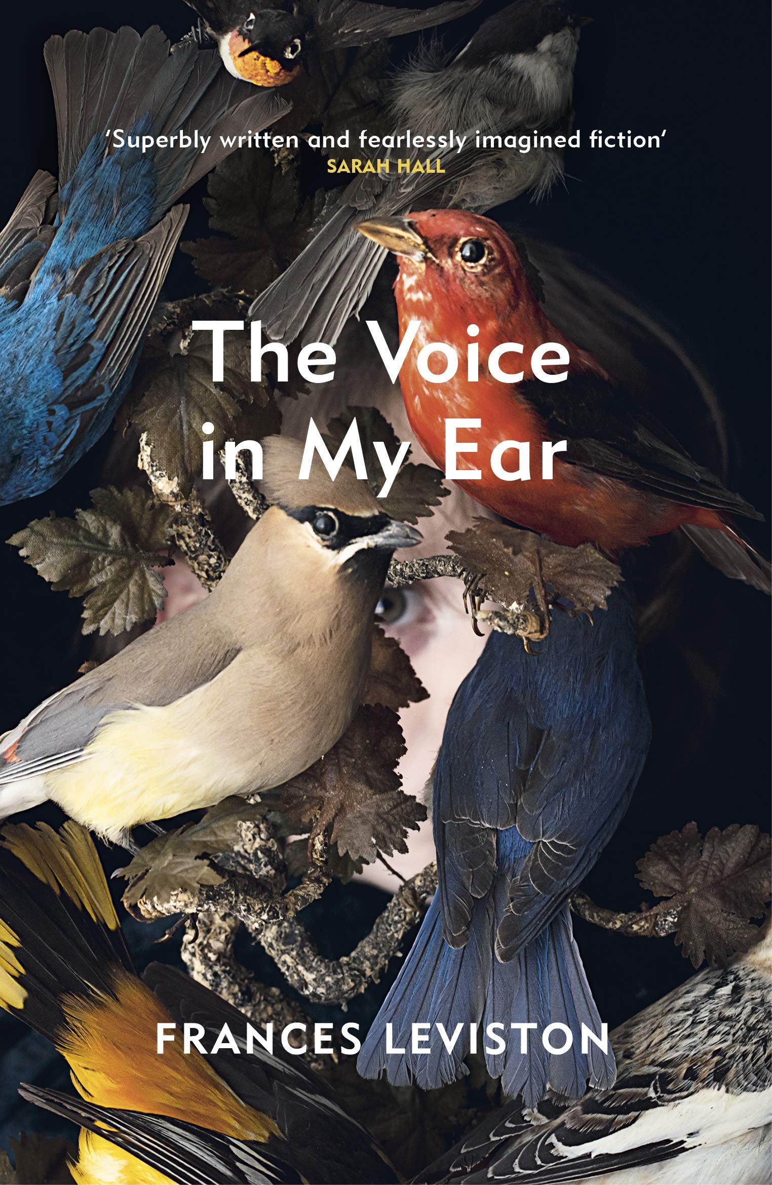 Vezi detalii pentru The Voice in My Ear | Frances Leviston