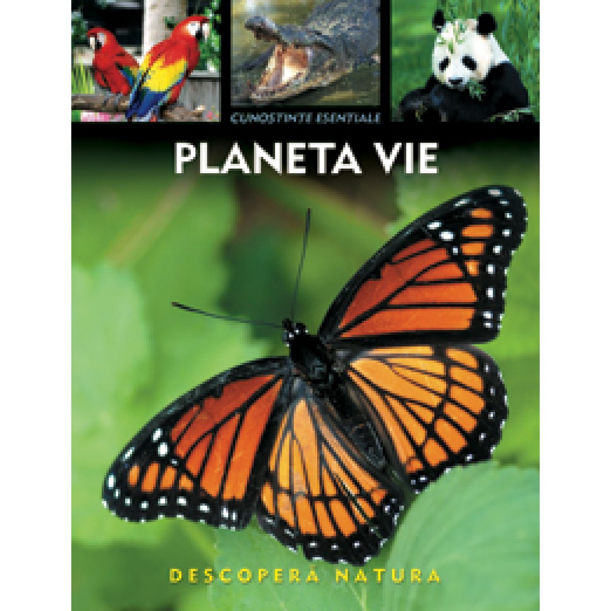Planeta Vie | Arcturus Publishing Limited