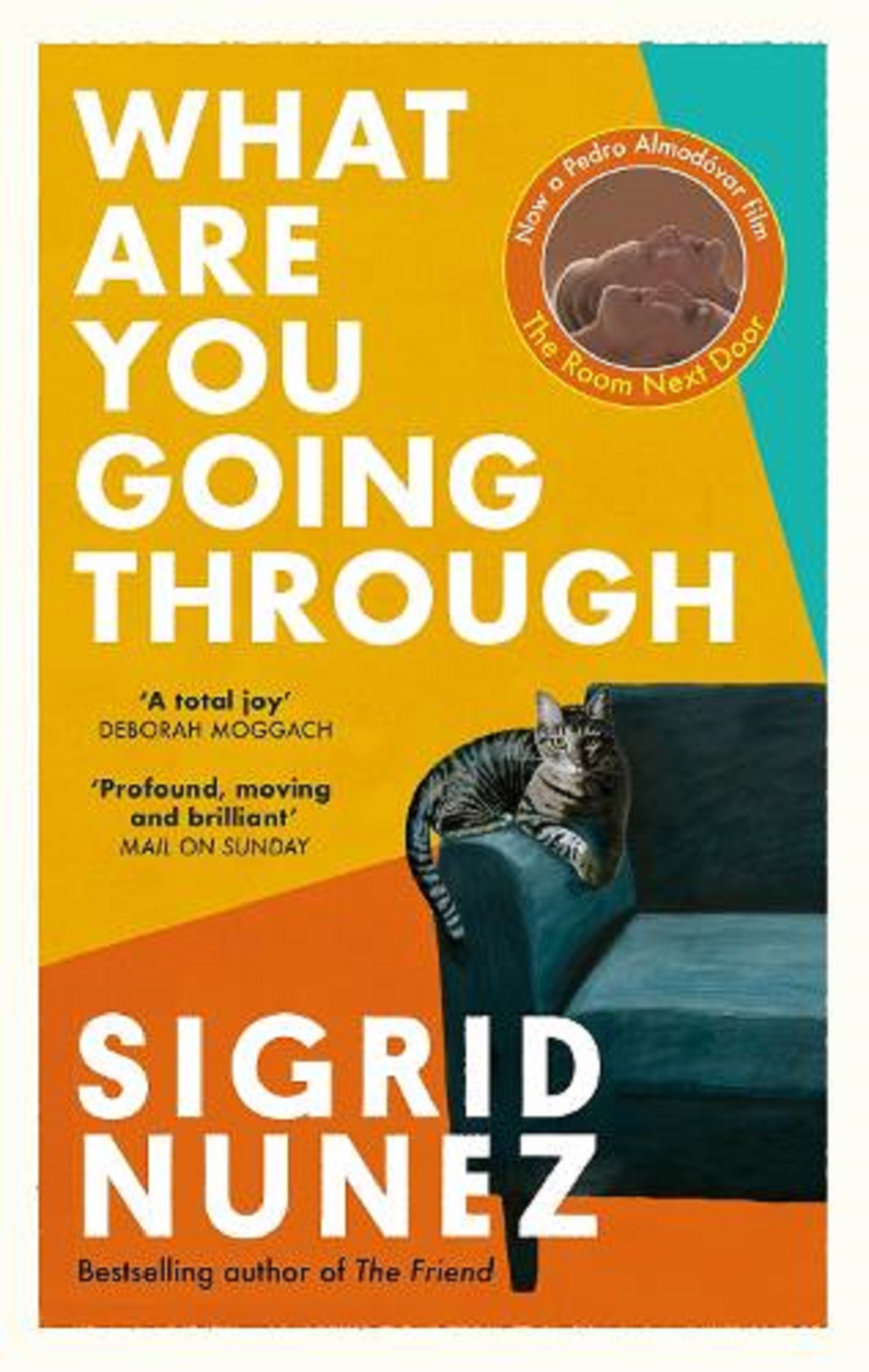 What Are You Going Through | Sigrid Nunez