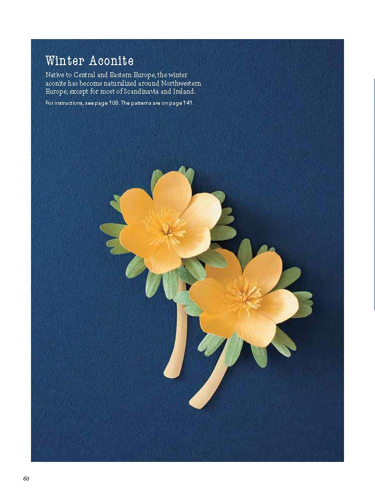 A Beginner's Guide to Paper Wildflowers | Emiko Yamamoto image3