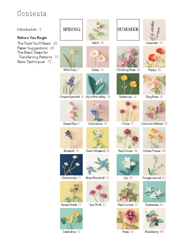 A Beginner's Guide to Paper Wildflowers | Emiko Yamamoto image9