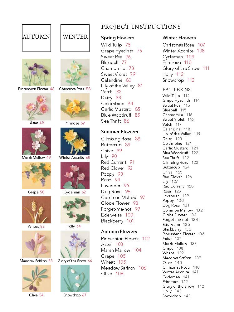 A Beginner's Guide to Paper Wildflowers | Emiko Yamamoto image11