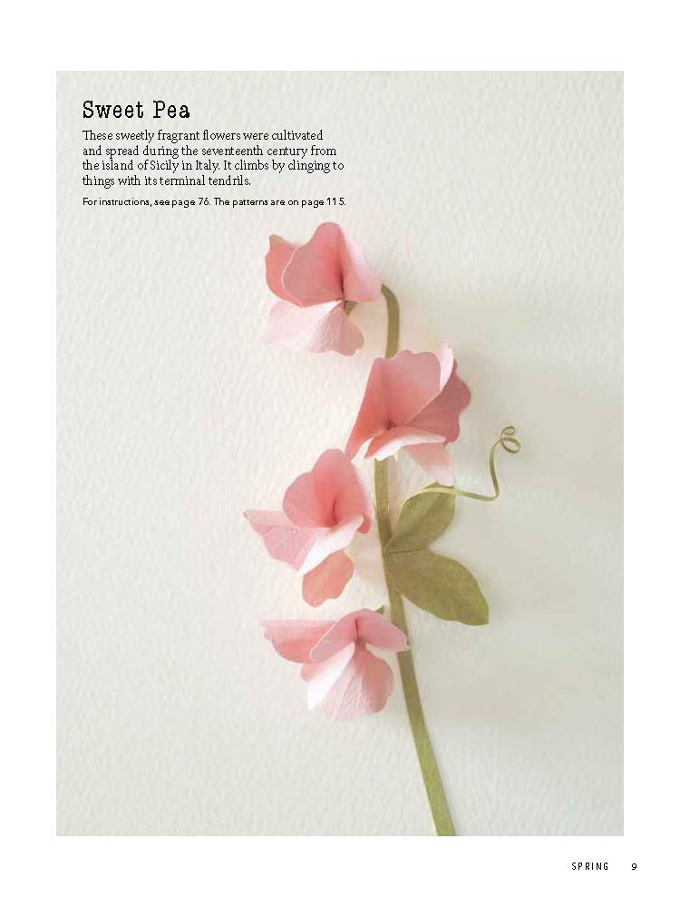 A Beginner's Guide to Paper Wildflowers | Emiko Yamamoto image17