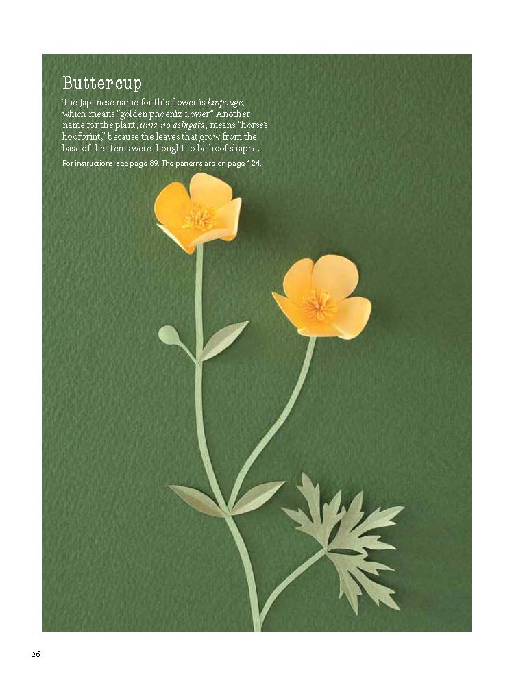 A Beginner's Guide to Paper Wildflowers | Emiko Yamamoto image5