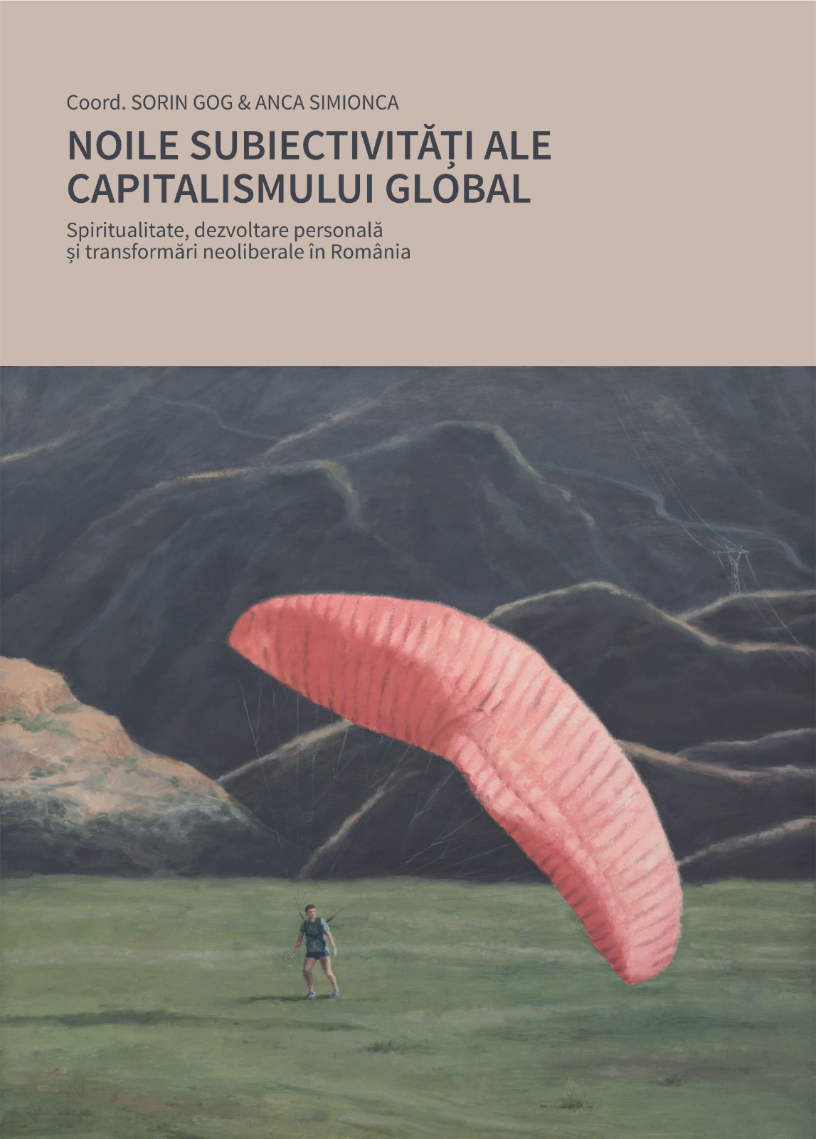 Noile subiectivitati ale capitalismului global | Sorin Gog, Anca Simionica ale imagine 2022