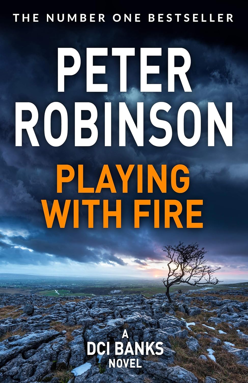 Playing With Fire | Peter Robinson