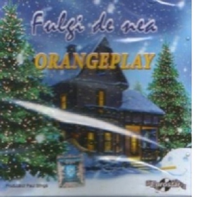 Fulgi de nea | Orangeplay