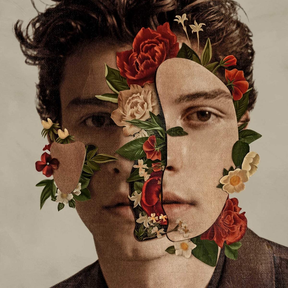 Shawn Mendes - Vinyl | Shawn Mendes