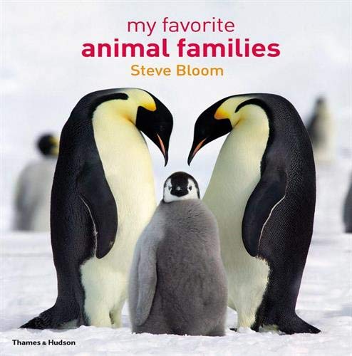 My Favourite Animal Families | Steve Bloom, David Henry Wilson