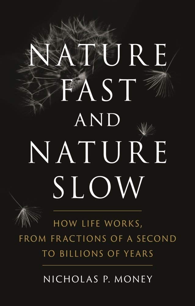 Nature Fast and Nature Slow | Nicholas P. Money