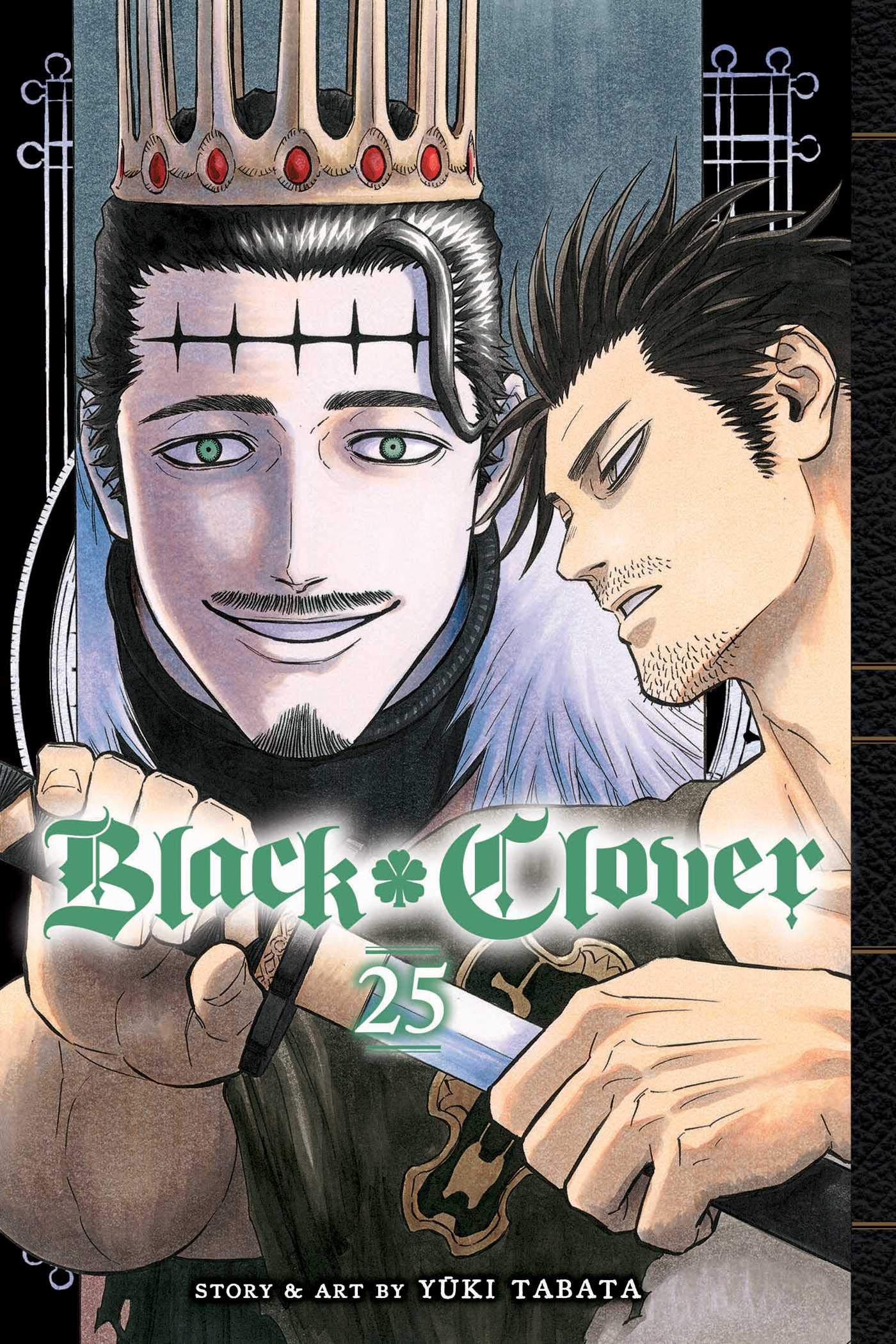 Black Clover - Volume 25 | Yuki Tabata