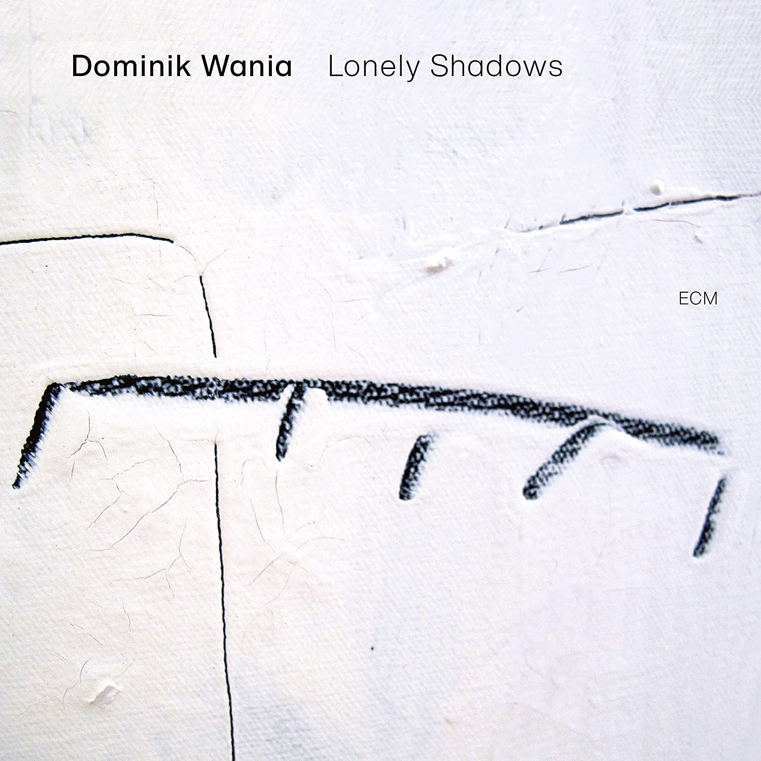 Lonely Shadows - Vinyl | Dominik Wania - 2 | YEO