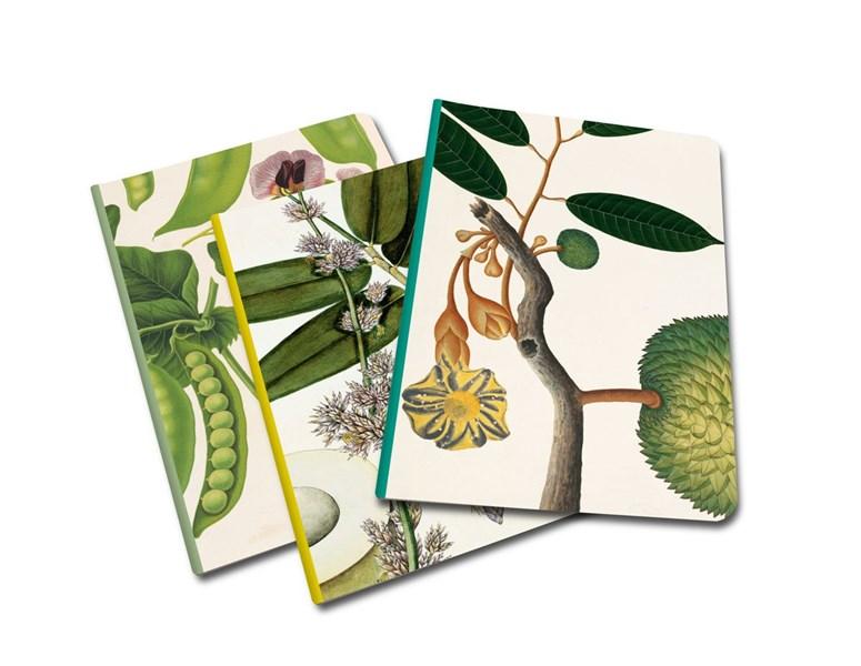 Set 3 Carnete A5 - Remarkable Plants | Thames & Hudson Ltd