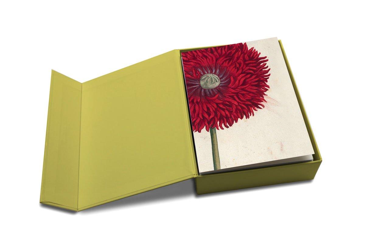 Remarkable Plants: Box of 20 Notecards | Thames & Hudson Ltd