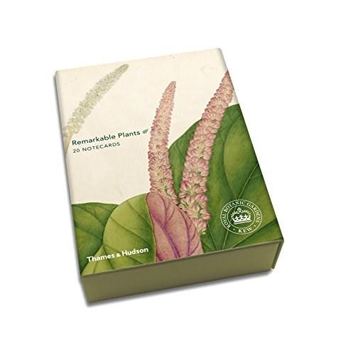 Remarkable Plants: Box of 20 Notecards | Thames & Hudson Ltd