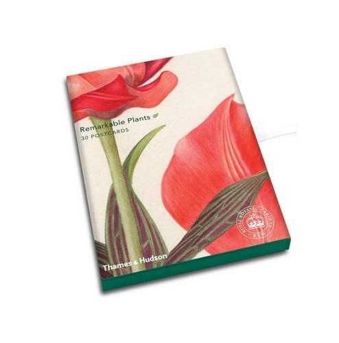 Remarkable Plants: Box of 30 Postcards | Thames & Hudson Ltd