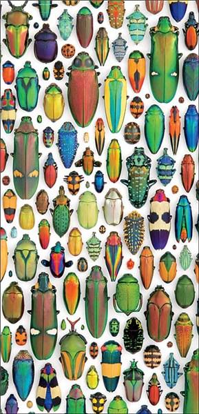 Coleoptera Mosaic Notepad | Pomegranate