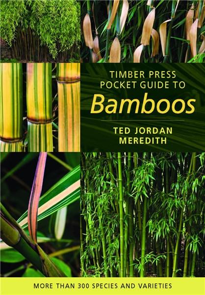 Timber Press Pocket Guide to Bamboos | Ted Jordan Meredith