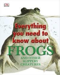 Everything You Need to Know About Frogs |