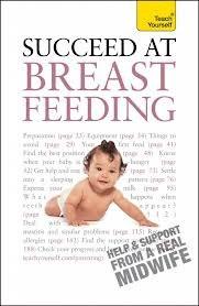 Succeed at Breastfeeding | Pauline Lim