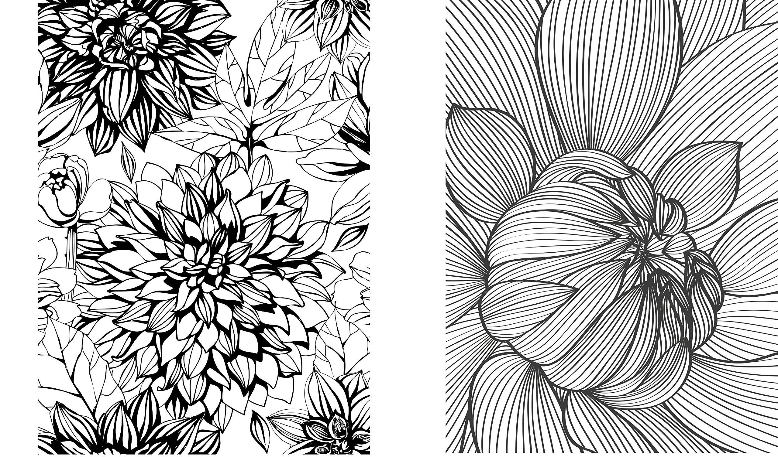 The Flowers & Nature Colouring Book | Beverley Lawson
