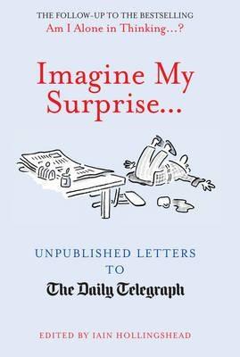 Imagine My Surprise... | Iain Hollingshead